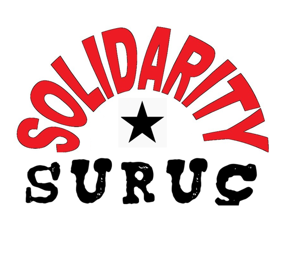 solidarity suruc