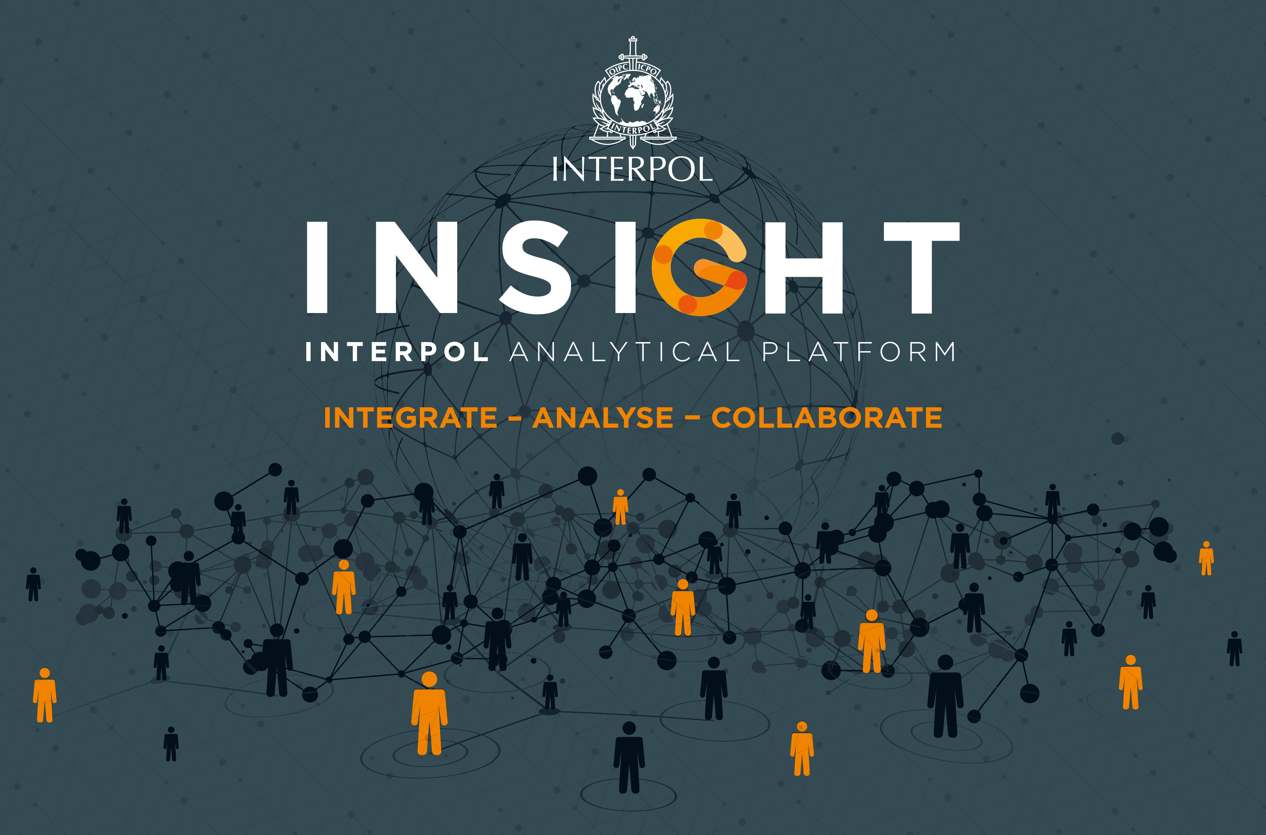 Interpol Insight