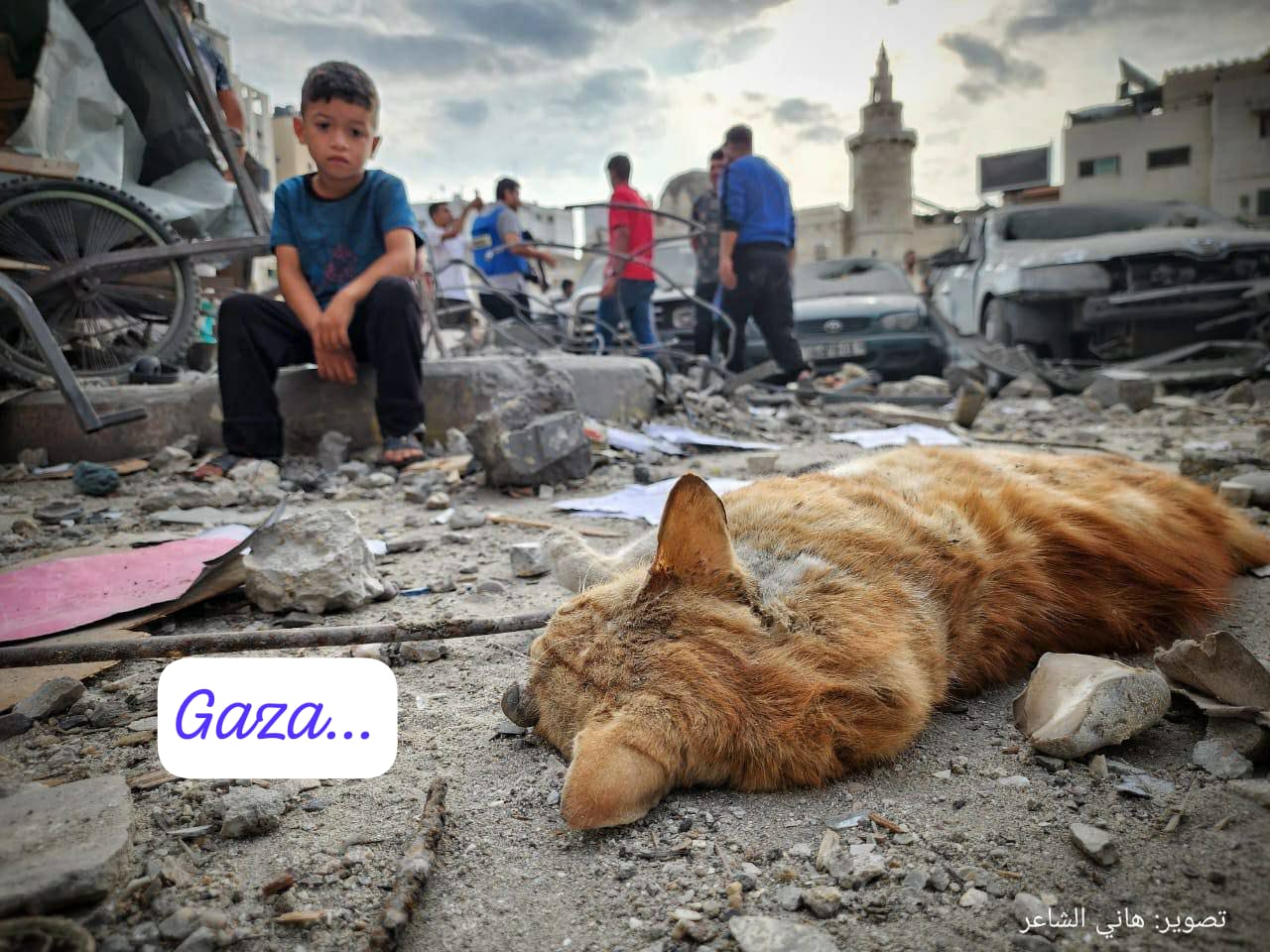 Gaza palestina
