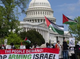 proteste palestina usa